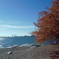 Indian Summer in Duluth, Дулут