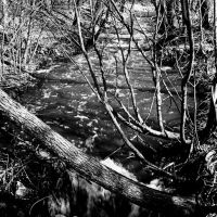 Creek in Hansen 1999, Нью-Брайтон