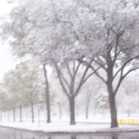 First snow, 2009, Victory Memorial Drive, Роббинсдейл