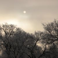 Sunrise in snowstorm -- 2, Роббинсдейл
