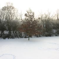 Winter in Minnesota, Сент-Луис-Парк