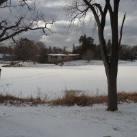 Frozen Creek, Эдина