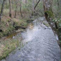 Little Chapapeela Creek, downstream, Бассфилд