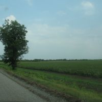 Louisiana cotton field, Ватер Валли