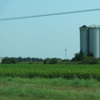 Silos and a field off U.S. 65, Ватер Валли