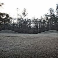 Bynum Indian Mounds - ca.100 B.C.-100 A.D., Вейр