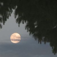 Full moon rising from water, Вест