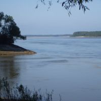 Confluence Of The St. Francis & Mississippi Rivers, Глендора