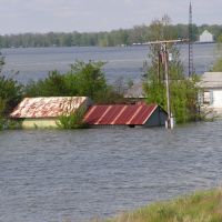Flood of 2008, Greenville MS, Гринвилл