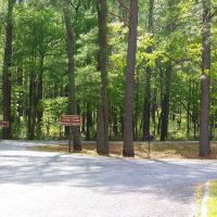 Natchez Trace -- Jeff Busby campground, Гулф Хиллс