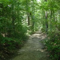 The Old Natchez Trace - June 2011, Гулф Хиллс