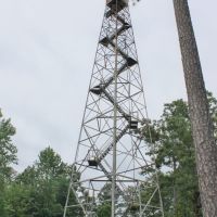 Windam Springs Fire Tower, Каледониа