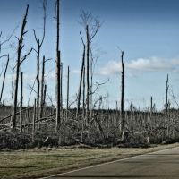 Natchez Trace 4/27/11 Tornado Damage, Каледониа