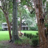 The Elms Bed & Breakfast - With Ghosts Floating in the trees - Natchez, Mississippi, Натчес