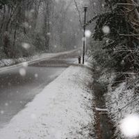 Hattiesburg: Longleaf Trace: Snow, January 2010, Палмерс Кроссинг