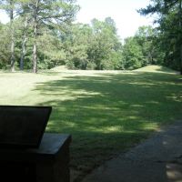 Indian Mounds near the Natchez Trace Pkwy - June 2011, Пасс Чристиан