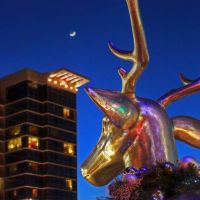 Reindeer Ponders the crescent moon above the Hilton in Branson, MO, Брансон