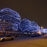 Christmas lights in trees, Bolivar street, Jefferson City, MO, Джефферсон-Сити