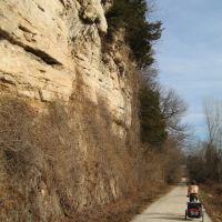 Katy Trail East of Boonville, Елвинс