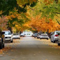 North Kansas City Fall Leaves, Канзас-Сити
