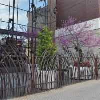 tall grass metal fence, downtown, Columbia, MO, Колумбия