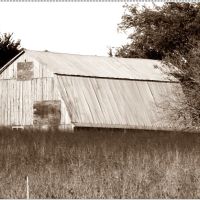 Old Barn (Parkway Drive), Лидингтон