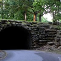 Tunnel in Krug Park, Олбани (Генри Кантри)