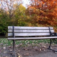 Bench in Frontier Park, Saint Charles, MO, Сант-Чарльз