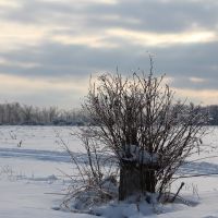 Winter Drive-by, Бичер
