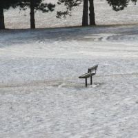 Lonely bench, Варрен
