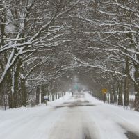 Barton Shore Drive in winter, Варрен