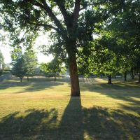 Attractive shadow in summer (Loomis Park, Jackson), Джексон