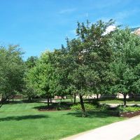 Eastern Michigan University, Ипсиланти