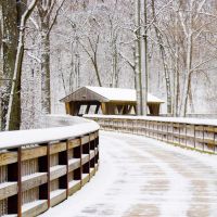Winter Scenery at Wildwood Metro Park, Ламбертвилл