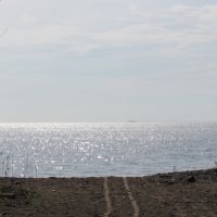 To Lake Erie, Луна-Пир