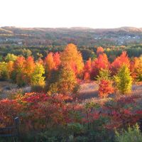 Fall in Leelanau, Мускегон-Хейгтс