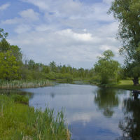 Cedar River, Сагинав