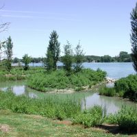 Newly created wetland, Elizabeth Park, Trenton, Mi, Саутгейт