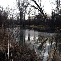 Clinton River on a Warm Winter Day - Jan 12, 2013, Стерлинг-Хейтс