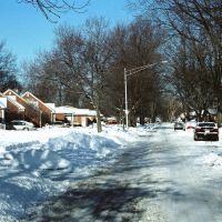 Houses on snowy street in Harper Woods Michigan USA, Харпер-Вудс