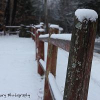 Snowy Fence, Фрипорт
