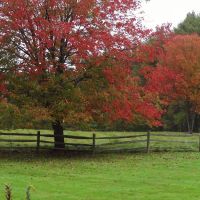 Fall pasture; Bartol Island Rd., Freeport, Maine, Фрипорт