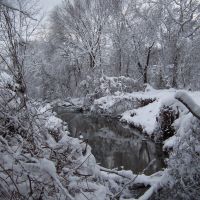 Snow on Herberts Run, Арбутус