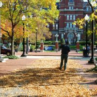 Cleaning Autumn Leaves, Johns Hopkins Hospital, Балтимор