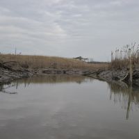 exploring a tidal marsh channel 1, Коттедж-Сити