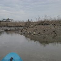exploring a tidal marsh channel 3, Коттедж-Сити