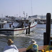 Docking Contest - Crisfield, MD, Крисфилд