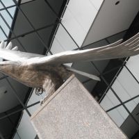 stainless steel eagle and detailed geometry, Роквилл