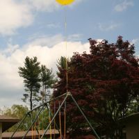 Yellow Balloon Fair, Роквилл