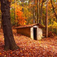 Little House in the Woods, Роквилл